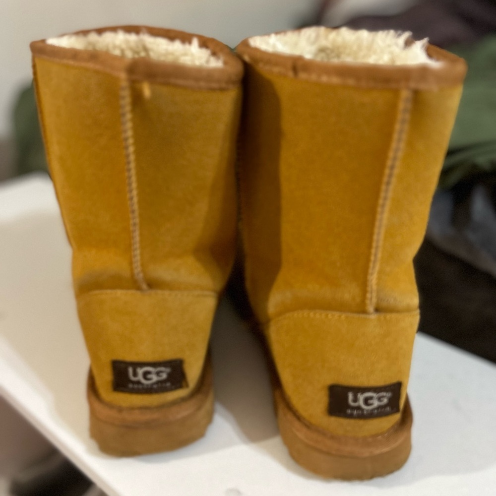 Mid length Uggs, worn. Size 9 wide